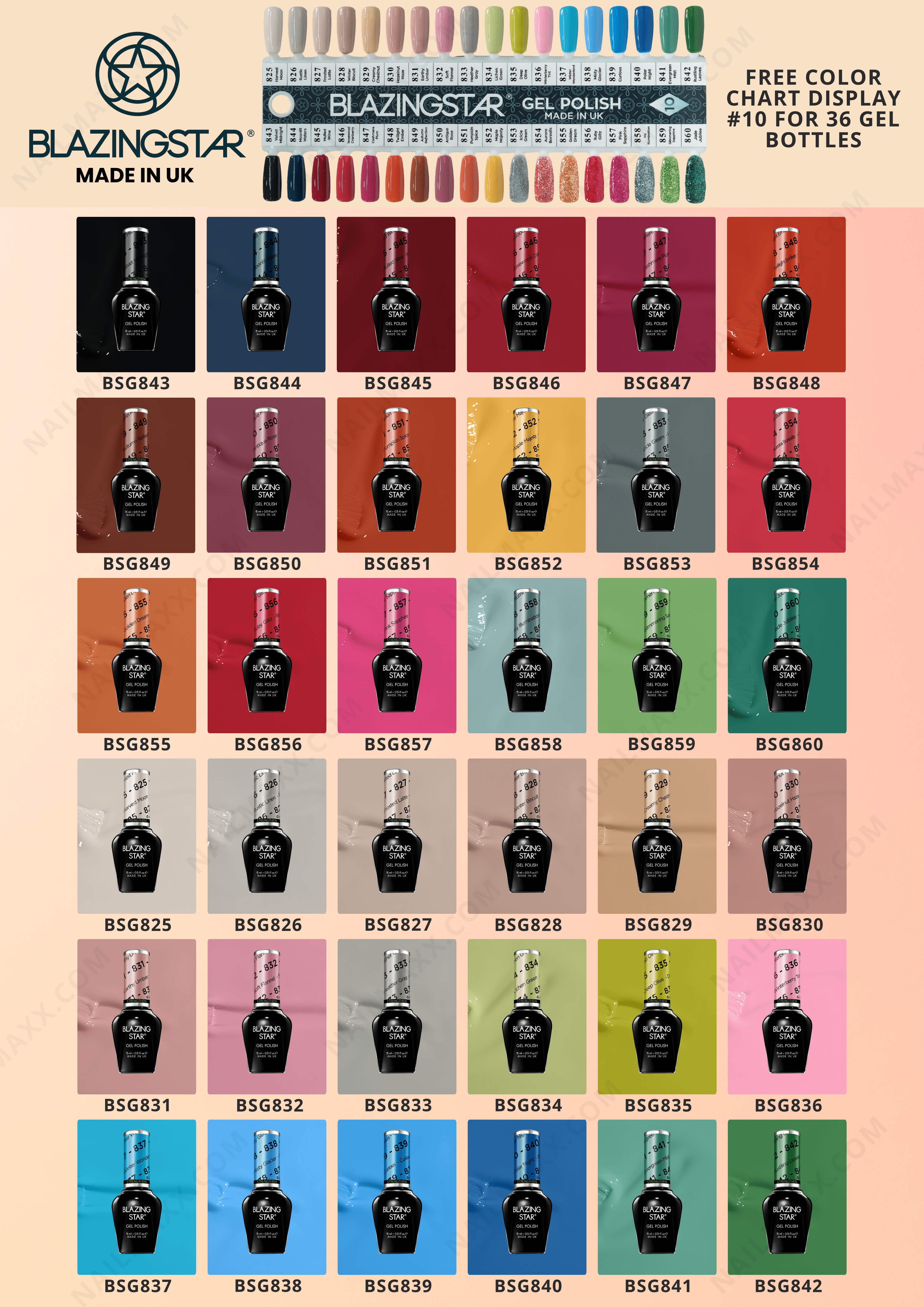 BLAZINGSTAR Gel Color Set #10 - FREE Display Color Chart #10