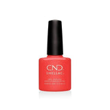 CND SHELLAC - Mambo Beat