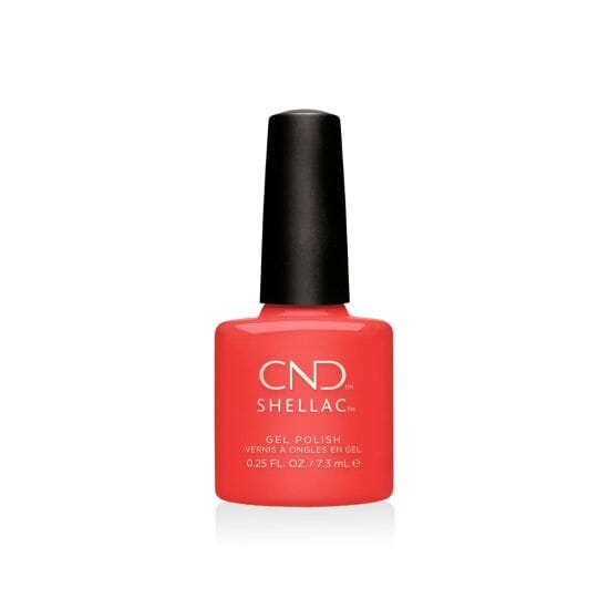 CND SHELLAC - Mambo Beat