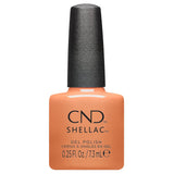 CND SHELLAC - Daydreaming