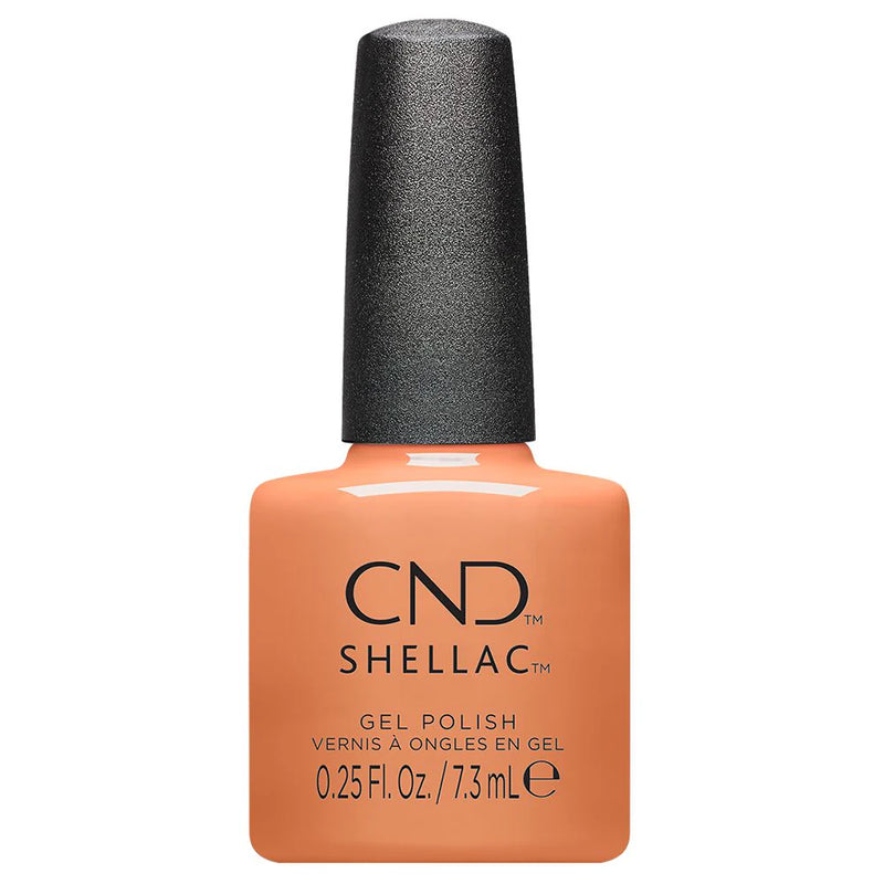 CND SHELLAC - Daydreaming