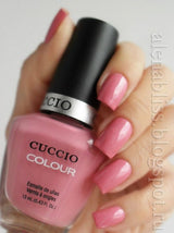 CUCCIO Matchmakers - Turkish Delight