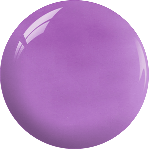 DDD580 - 8888 DIP - DAP and OMBRE