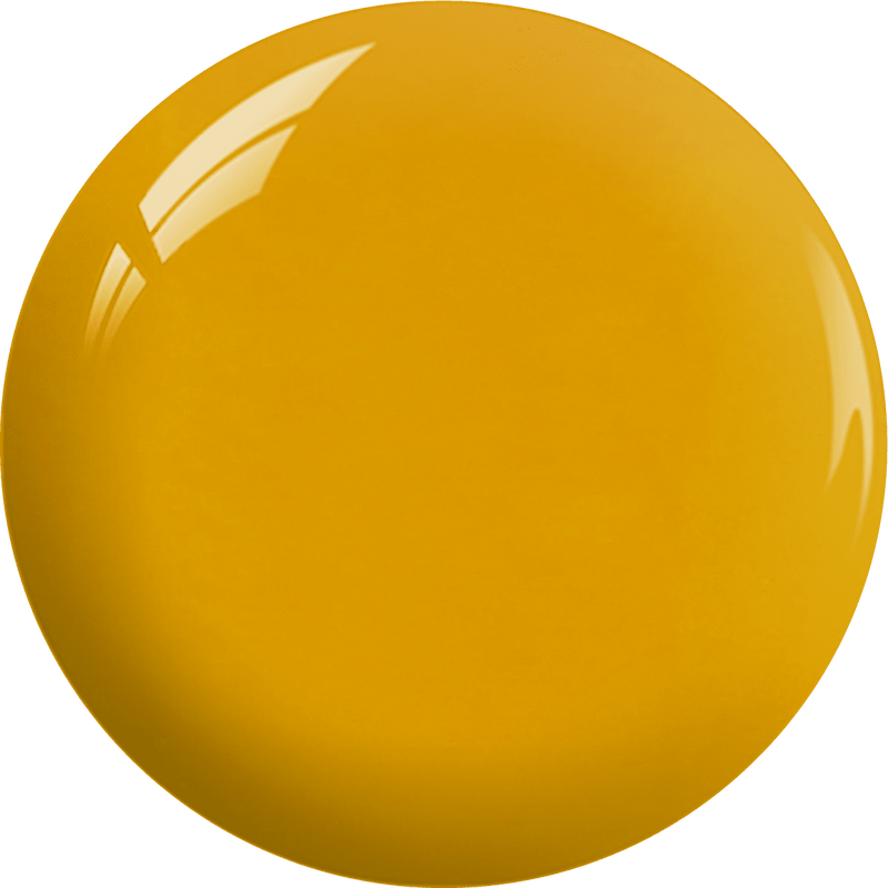 DDD713 - 8888 DIP - DAP and OMBRE