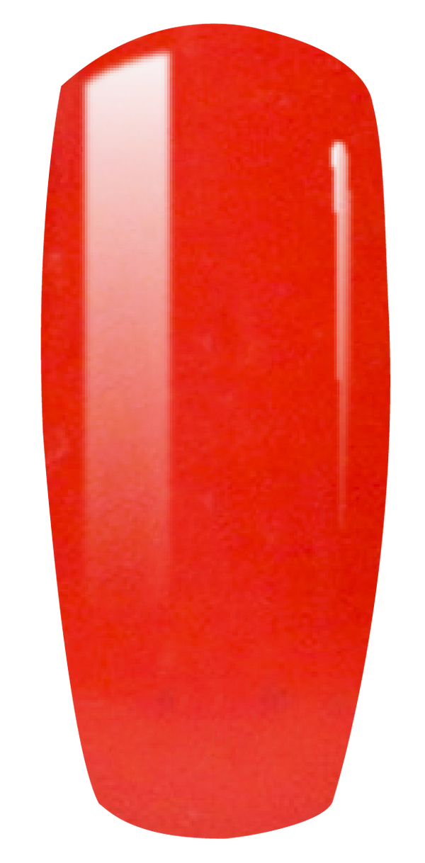 D067 - SIMPLY MATCHING DUO