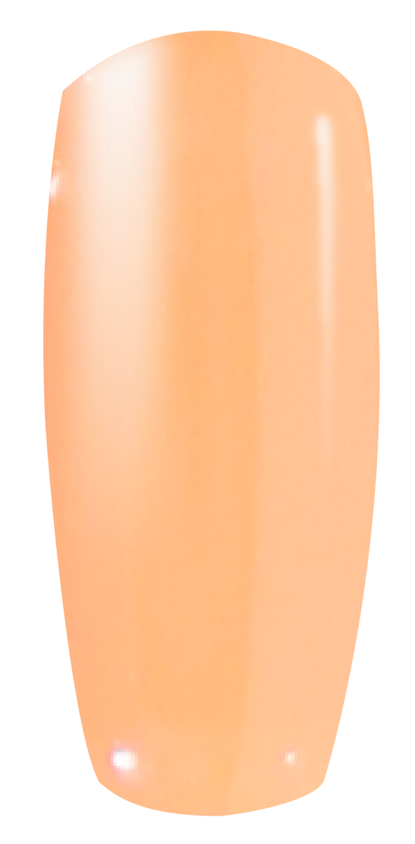 8888 DIP & DAP POWDER 2oz - 151