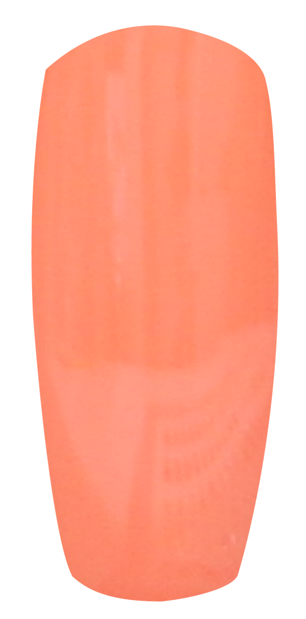 8888 DIP & DAP POWDER 2oz - 055